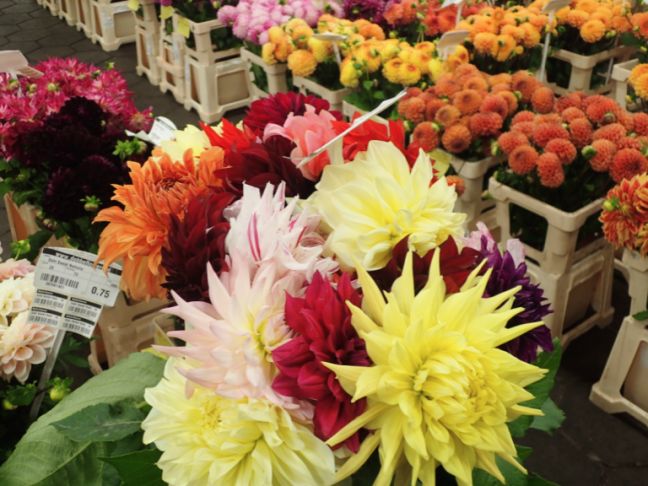 Cut flowers at a wholesalers. Photo: DutchNews  