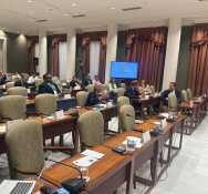 President of Parliament participates in the 17th Plenary Session of EuroLat