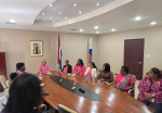 Parliament’s Women’s Caucus Organizes Interactive Breast Cancer Awareness Session