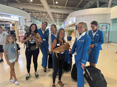 PJIA AIRPORT AND SXM PAWS CONTINUE “PAWS IN FLIGHT SATURDAY” TO HELP RESCUED PUPPIES REACH NEW HOMES