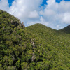 Nature Foundation backs plan for Sint Maarten’s first terrestrial park, urges follow-through
