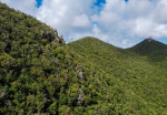 Nature Foundation backs plan for Sint Maarten’s first terrestrial park, urges follow-through