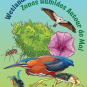 Free Migratory Bird Festival at Amuseum Naturalis on Saturday October 10th